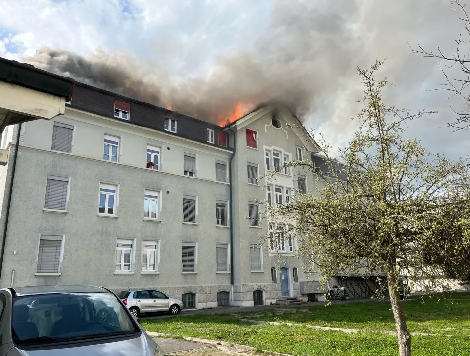 1_Polizei Kanton Solothurn_1.jpeg